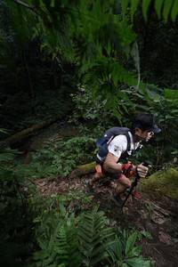 BIB: 7341, 240
                            <button type="button" onclick="openModal(16030237)" class="btn btn-primary btn-sm float-right btn-popup" data-toggle="modal" data-target=".modal-high-quality">
                        <i class="fas fa-shopping-cart"></i> Add to Cart
                    </button>
                                            <button type="button" onclick="isThisMe(16030237, true)" class="btn btn-success btn-sm float-right btn-popup btn-isme hidden" data-toggle="tooltip" data-placement="bottom" title="นี่คือรูปของคุณใช่ไหม คลิกที่นี่เพื่อเอาเข้าอัลบั้ม">
                        <i class="fas fa-plus"></i> Add to album
                    </button>
                    <button type="button" onclick="isThisMe(16030237, false)" class="btn btn-warning btn-sm float-right btn-popup btn-isnotme hidden">
                        <i class="fas fa-ban"></i> Remove from album
                    </button>